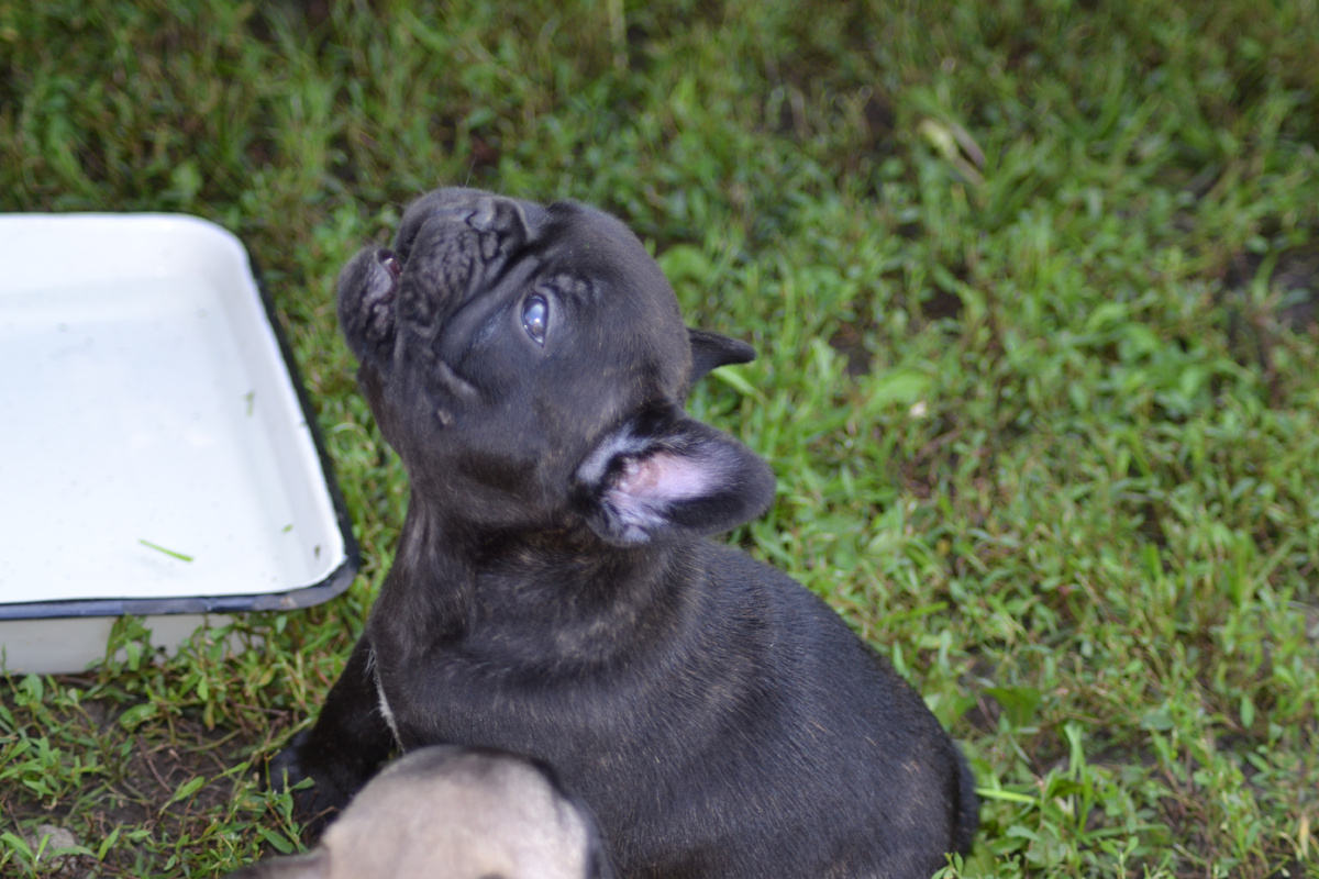 Зевс требует отпустить его на волю