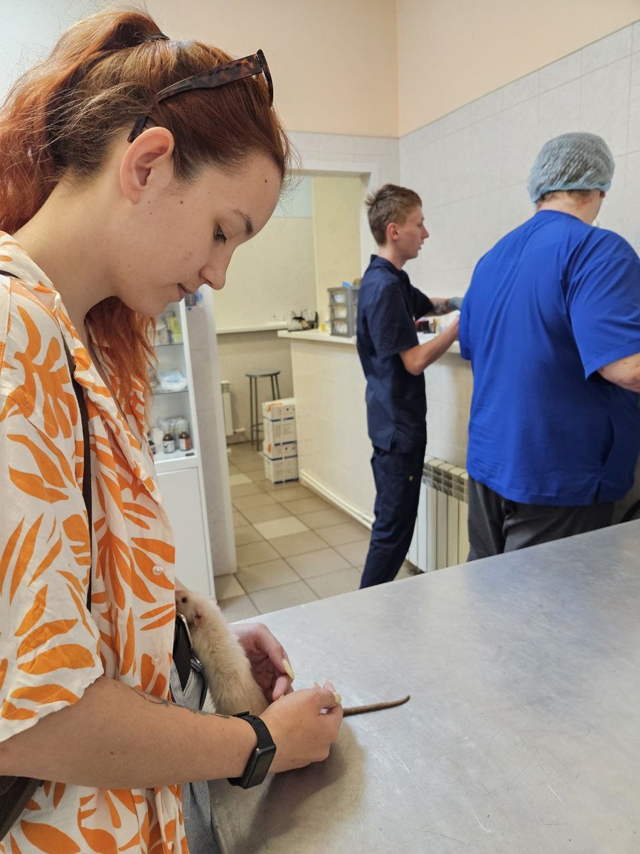 Мы с Боней на приёме у ратолога