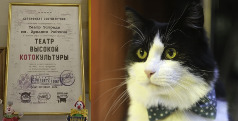 Яков Моисеевич. 