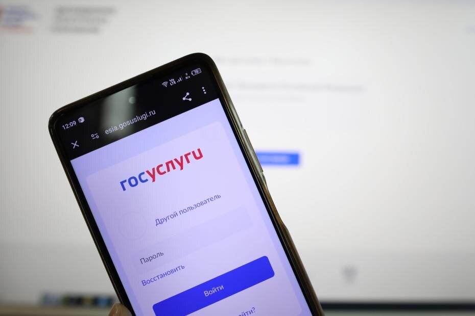    Александра Погиба/NEWS.ru