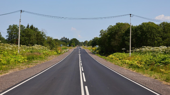 Фото: Dorogi_lo/telegram