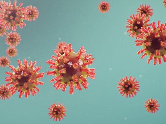    Фото: 123RF/rost9