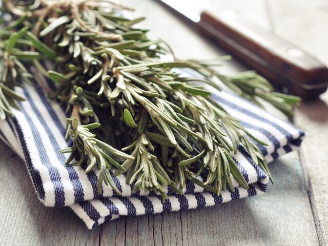    Фото: tashka2000/123RF