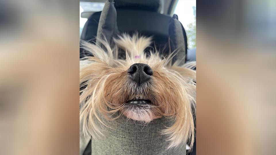    Фото: t.me/ozdrzd