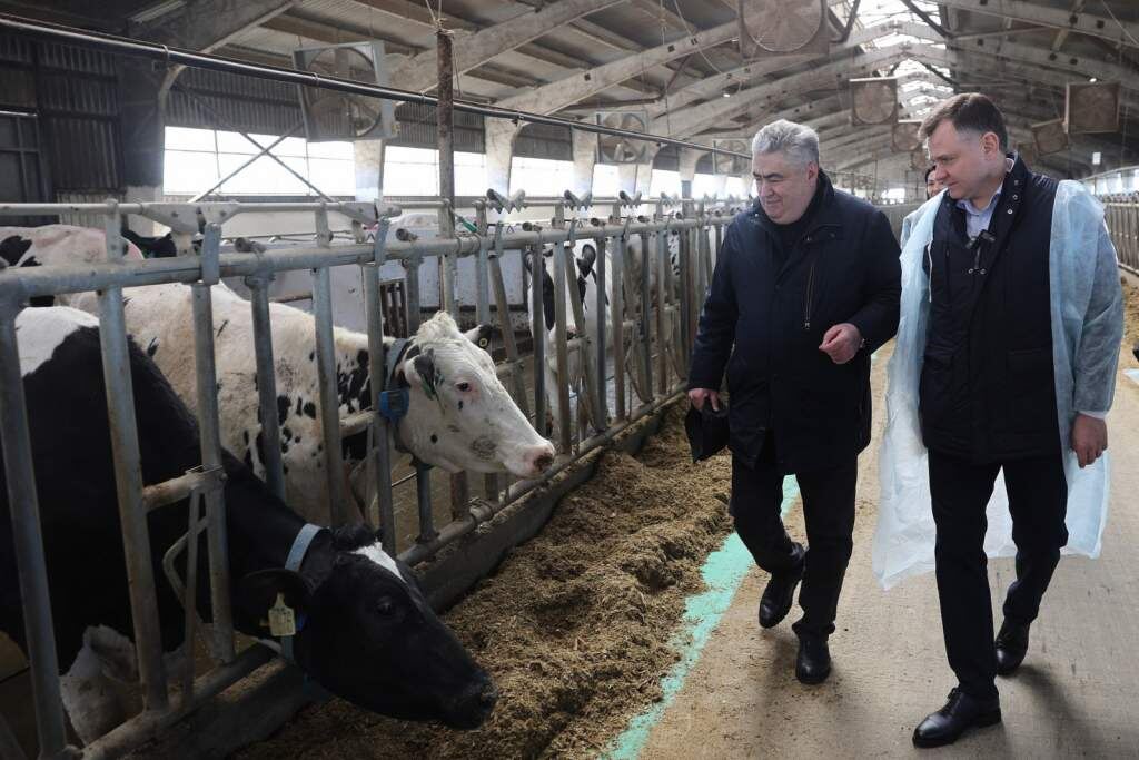    Фото: сайт Правительства РО Веселовские вести