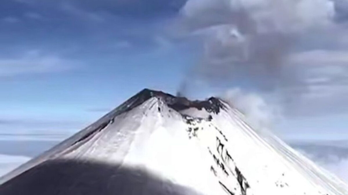    Фото: t.me/shot_shot