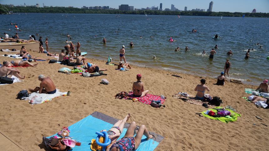    Фото: ИЗВЕСТИЯ/Дмитрий Коротаев