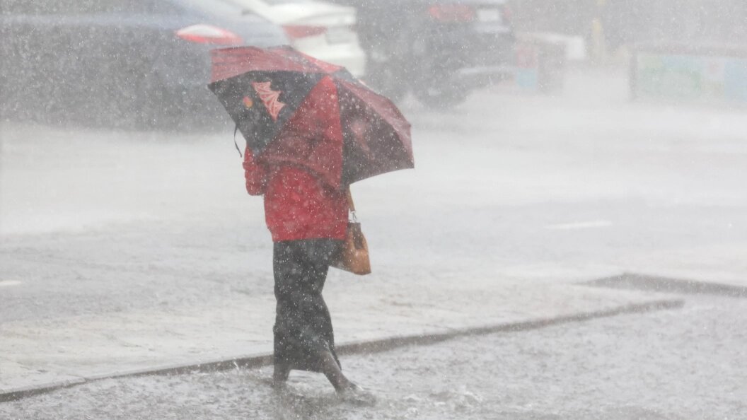    Фото: Belkin Alexey/Globallookpress