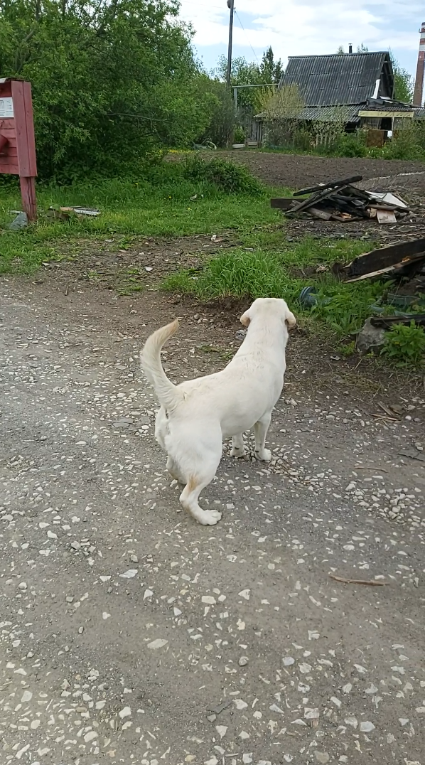 Пролистайте галерею