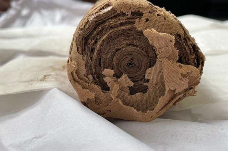 Свиток папируса