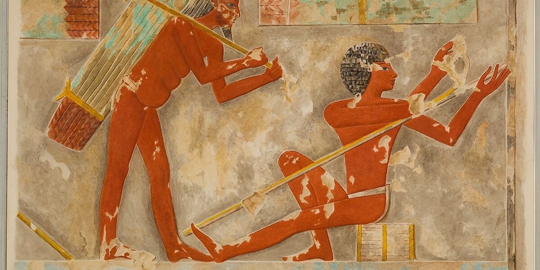 ПАПИРУС. Растение — хранитель тысячелетий истории