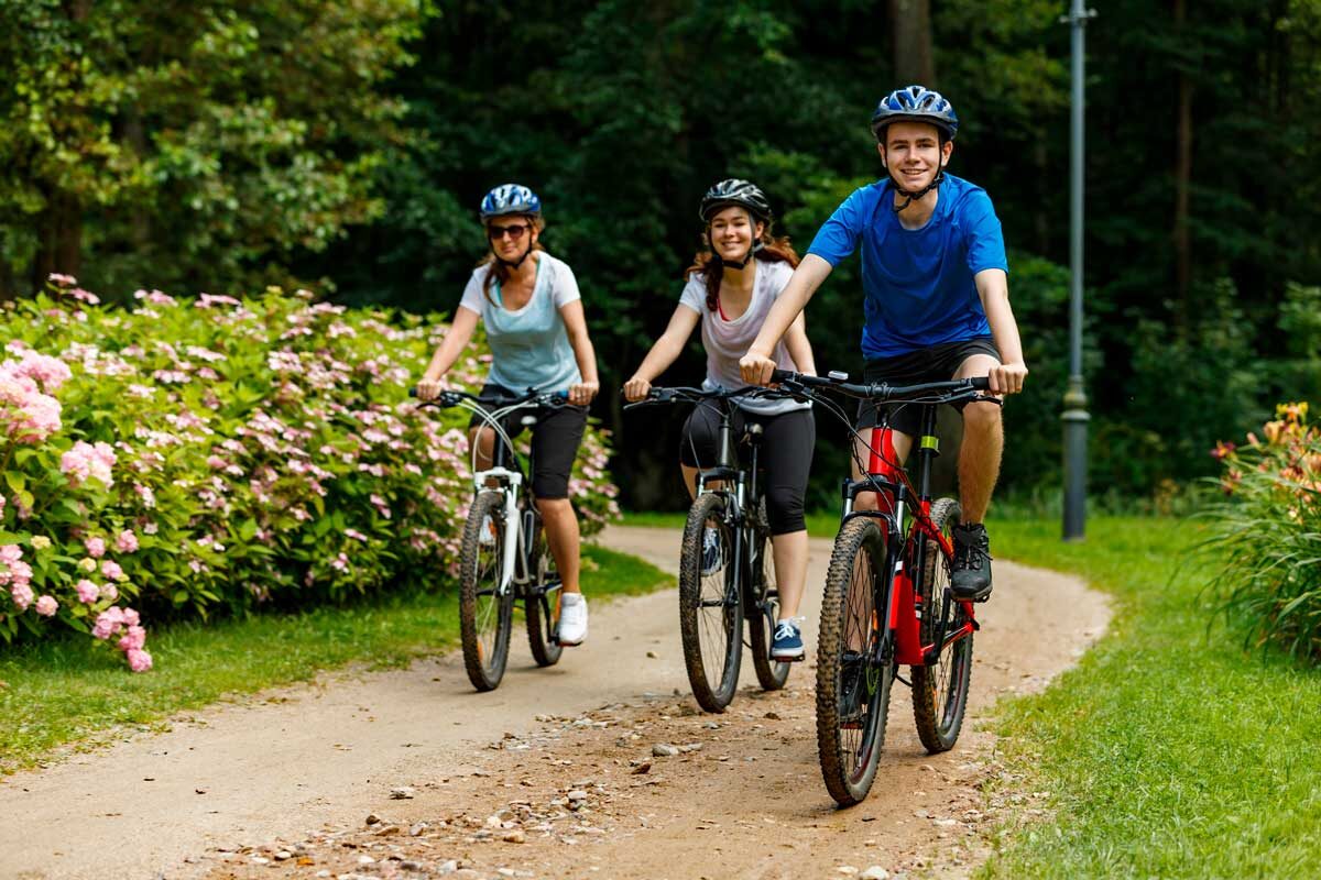    Фото: Jacek Chabraszewski / Shutterstock.com