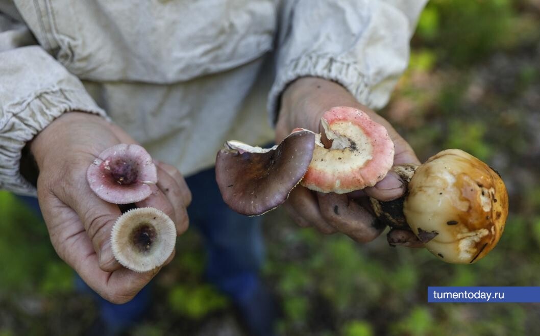  Фото Екатерины Христозовой