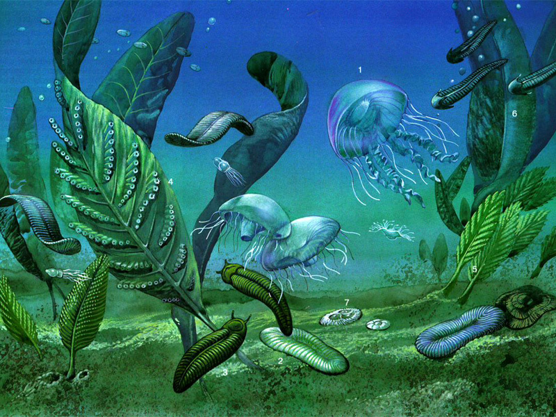 Зарождение жизни на земле