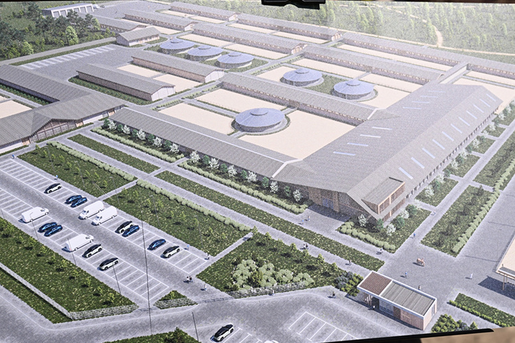    Комплекс планируется возвести на базе действующего конноспортивного клуба «Казань»