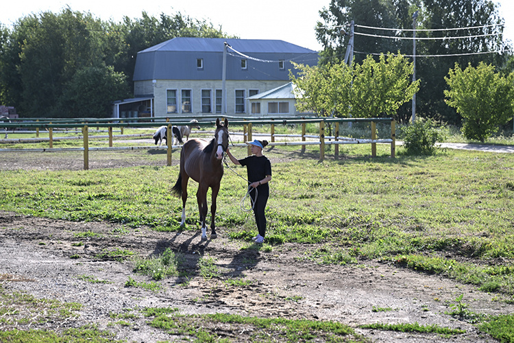    Это бывший коровник, переоборудованный в конюшню в 2003-м, когда участок передали муниципалитету для развития конного спорта