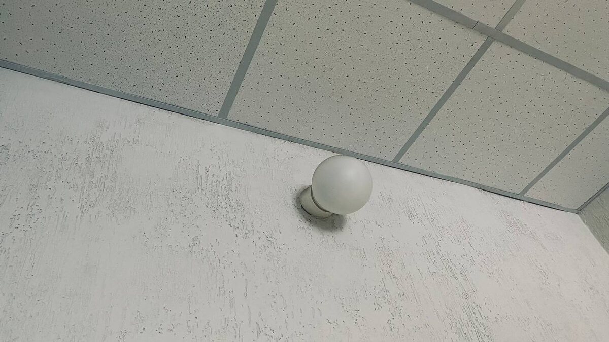    Фото: телеграм-канал Максима Кудрявцева