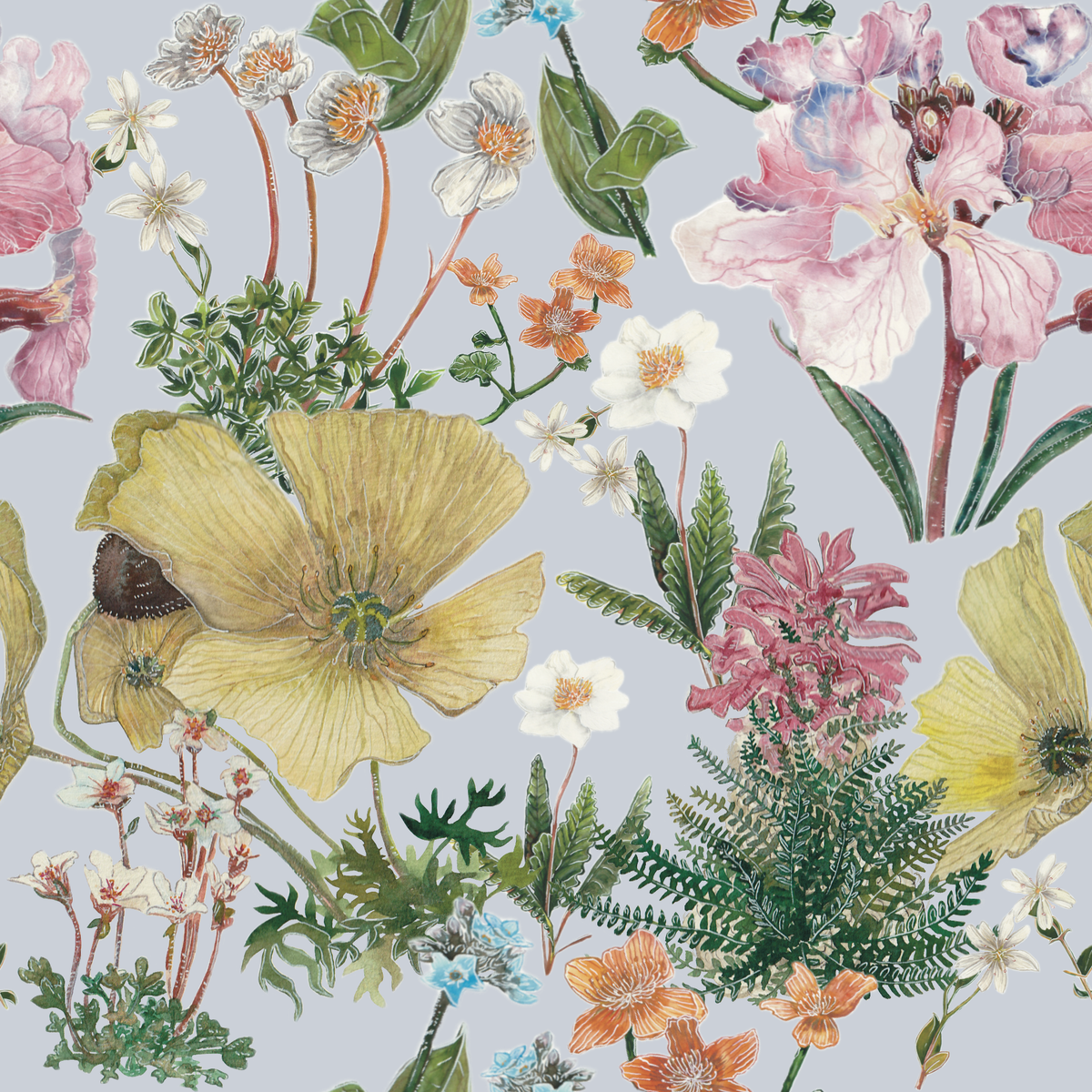 Первый ботанический паттерн 