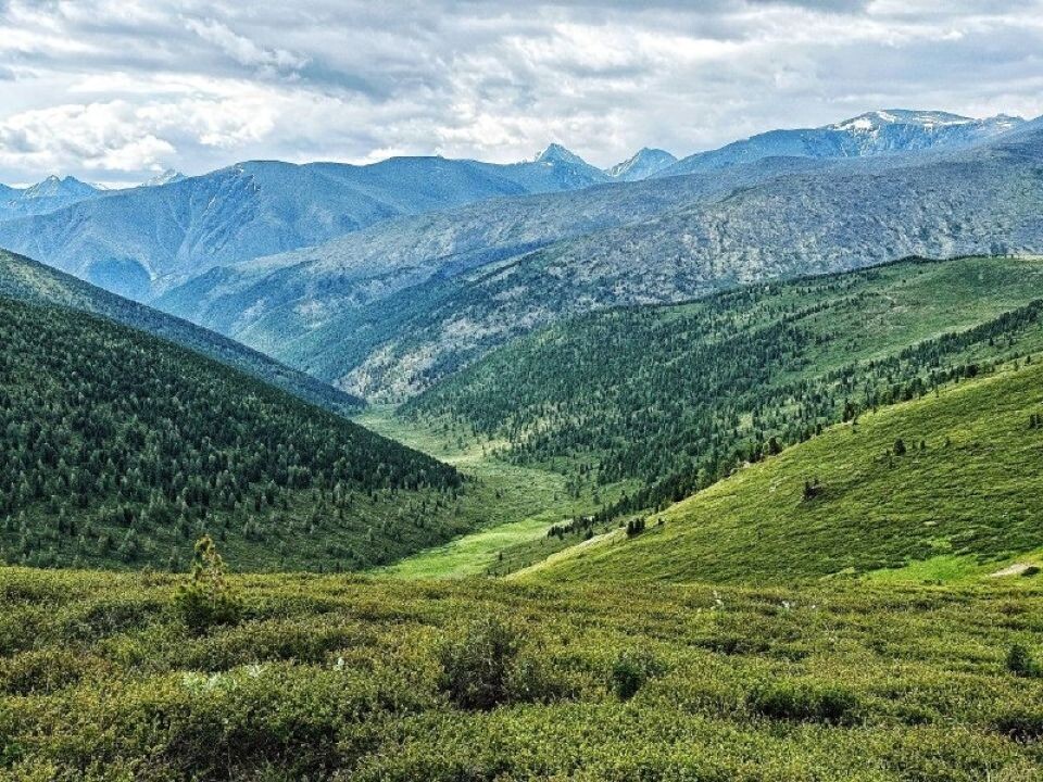    Долина реки Аргут. Источник: Алина Ковалева / t.me/sailugem