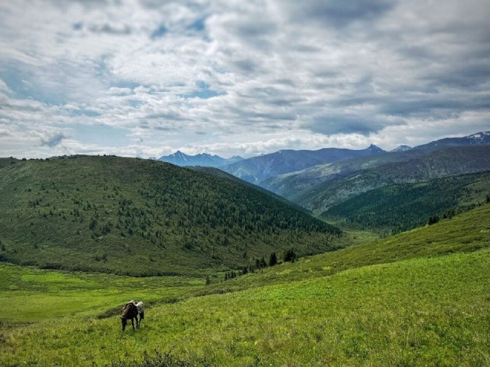    Долина реки Аргут. Источник: Алина Ковалева / t.me/sailugem