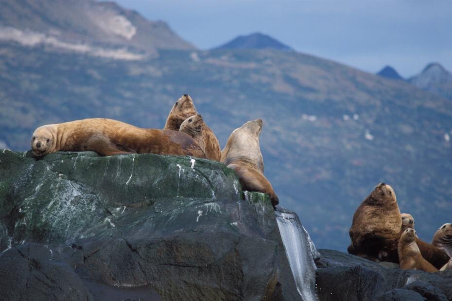    Konrad Wothe/imageBROKER.com/Global Look Press