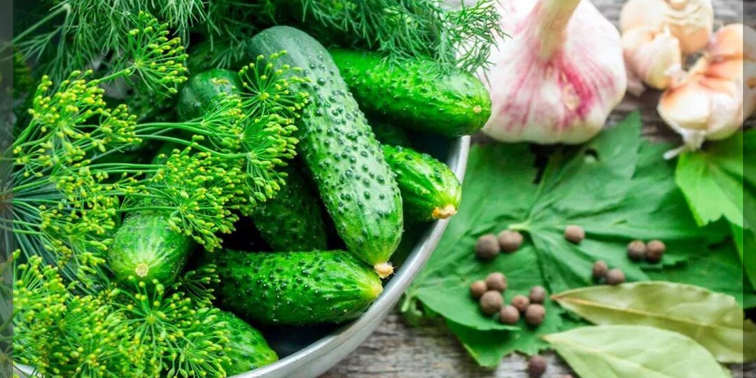 Лучшие специи и сорта-гибриды огурцов для засолки: какие огурцы и специи идеально подходят друг для друга