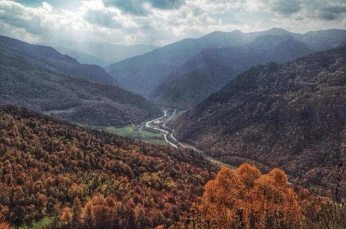    Активисты просят правительство КЧР продлить запрет на вырубку лесов Архыза