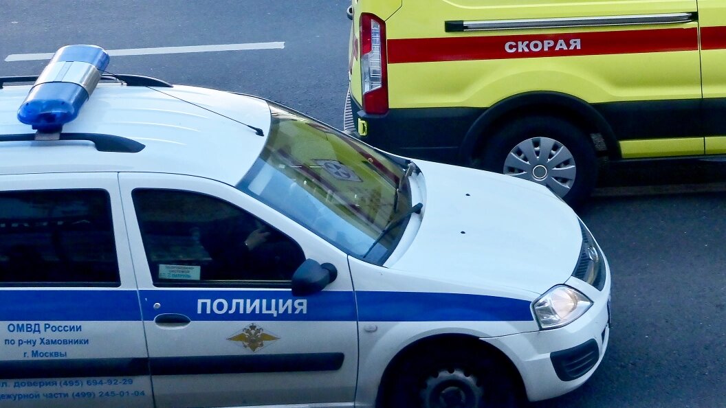    Фото: Vladimir Baranov/Globallook Press/Globallookpress