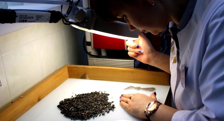    Фото: ФГБУ ЦОК АПК