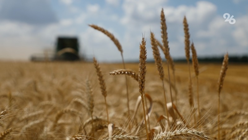      Фото: ИА «Победа26»