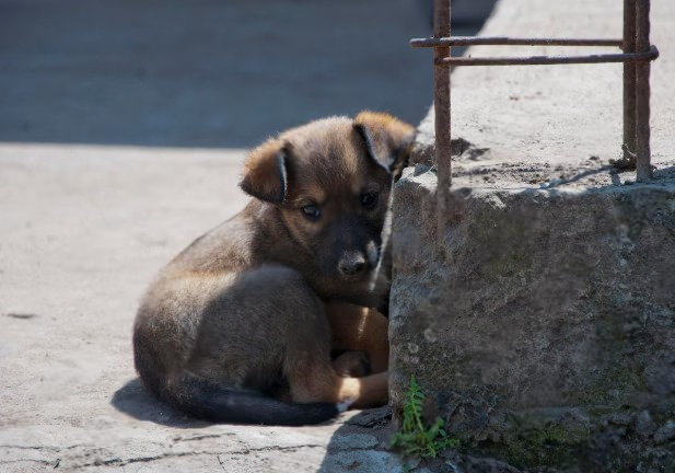     Фото: freepik.com