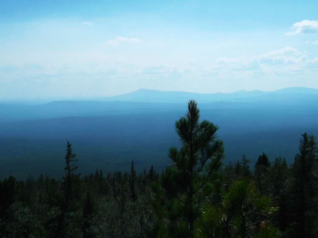    Бесконечная уральская тайга stalker
