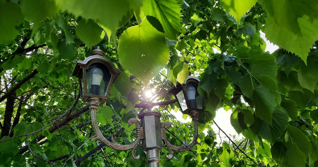 Народные приметы на 30 июля: что сделать с волосами, чтобы привлечь счастье и на что опасно смотреть - иначе беда