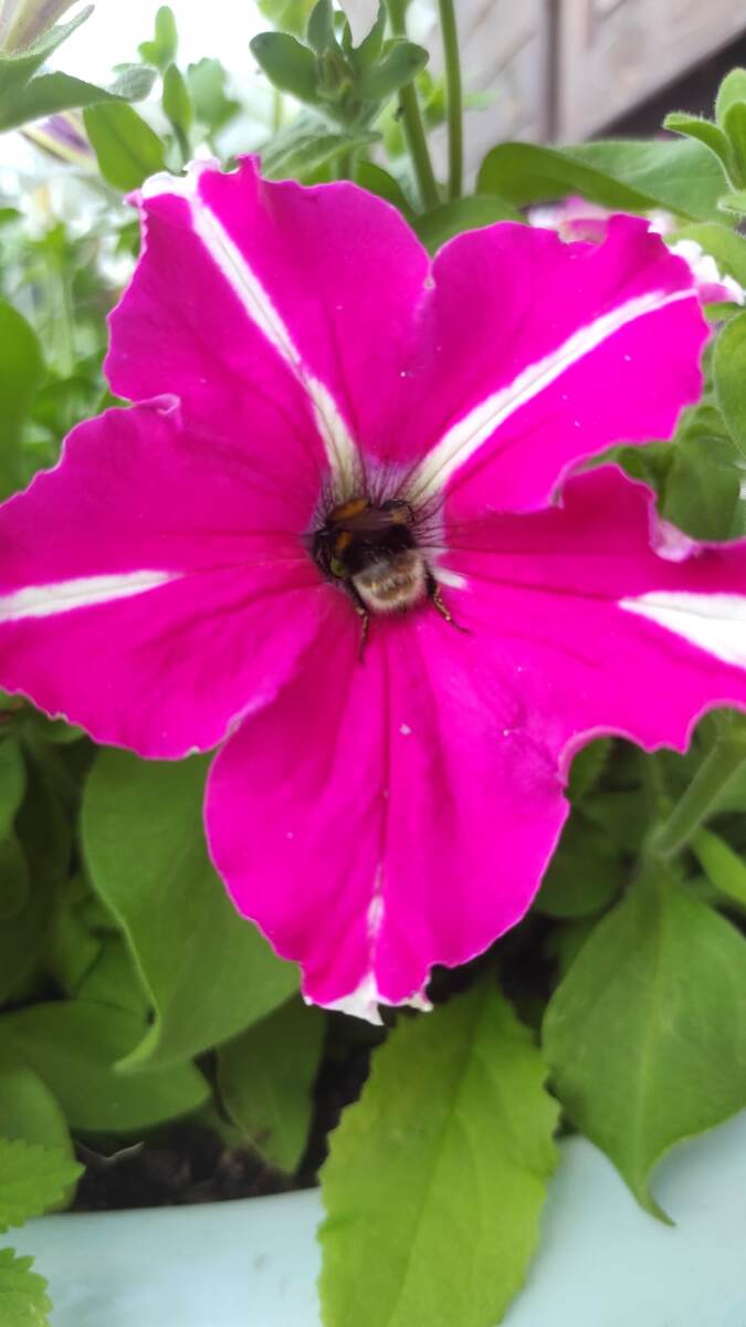 Фото моей подруги