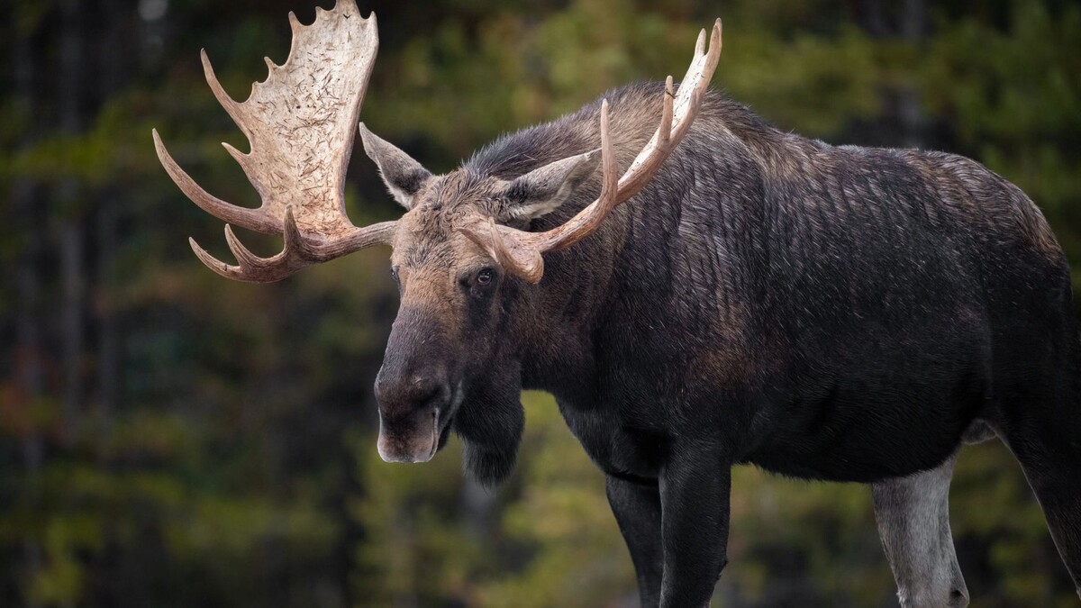    Фото: Harry Collins Photography / Shutterstock / Fotodom