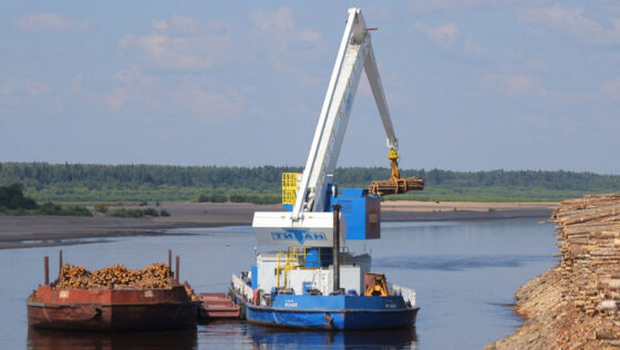     Фото: пресс-служба правительства Архангельской области