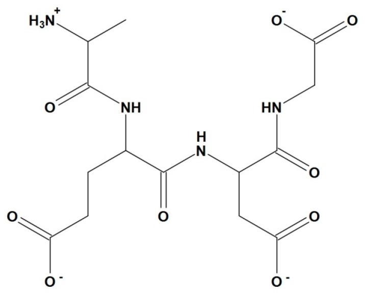 AEDG пептид (последовательность Ala-Glu-Asp-Gly).