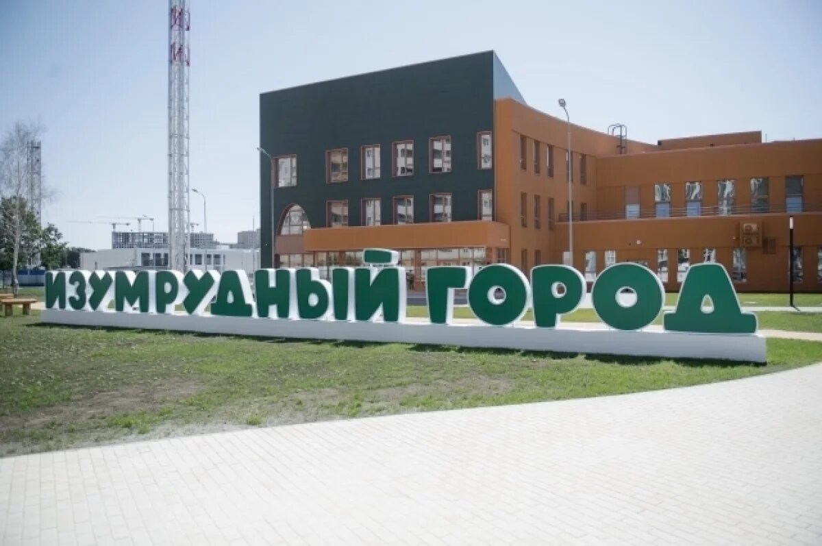    Супруга мэра Воронежа назначена замдиректора мегасада