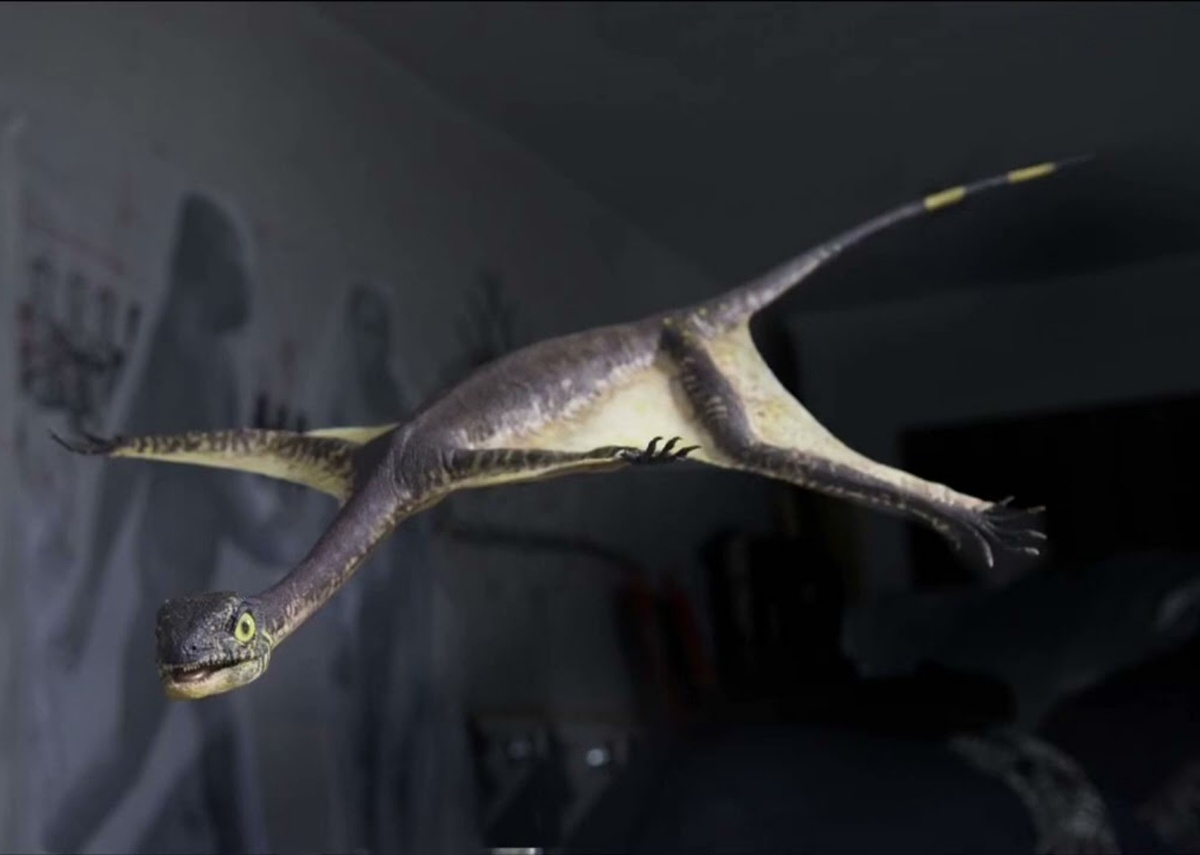 Озимек. Реконструкция.