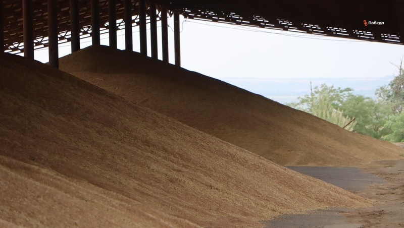      Фото: Анна Радченко / / ИА «Победа26»