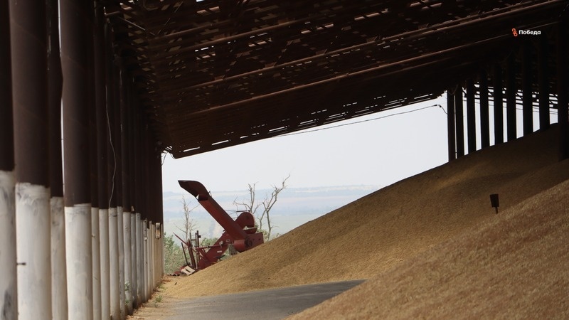    После обмолота зерно поступает в зернохранилище Фото: Анна Радченко / / ИА «Победа26»