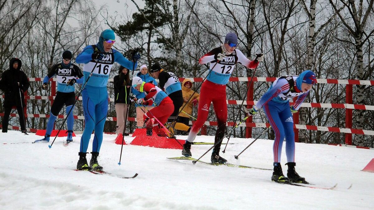    Фото: t.me/lenobladminka