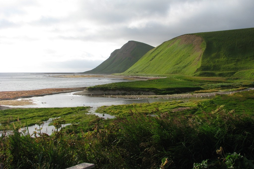    Фото © Wikipedia / SuricataJ