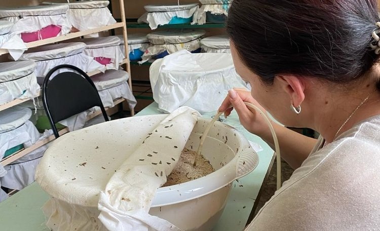    Фото: Пресс-служба филиала ФГБУ «Россельхозцентр» по Ставропольскому краю.