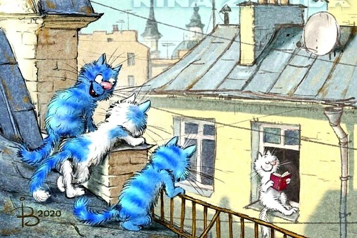 очаровательные коты Рины Зенюк