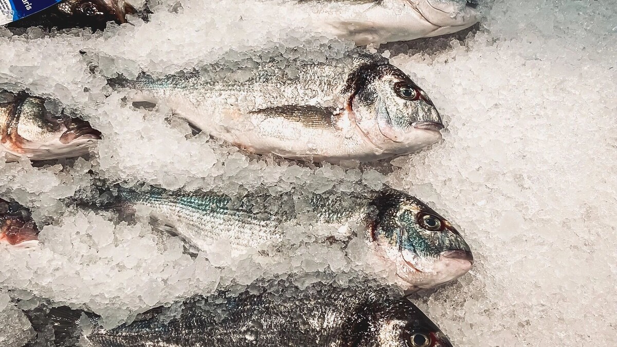     Источник: 1MI