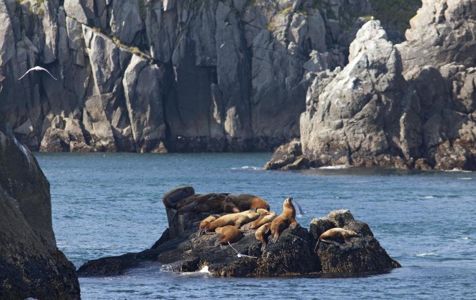    Jim West/imageBROKER.com/Global Look Press