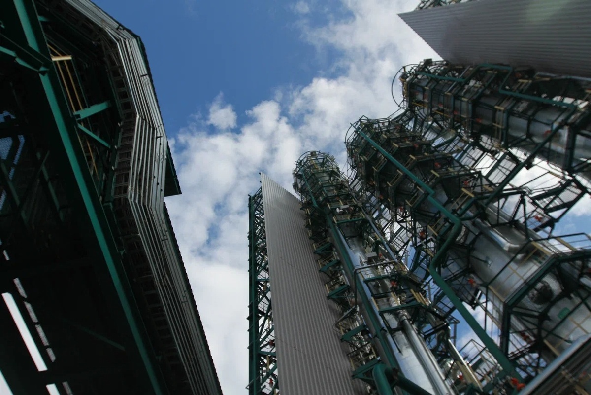 Автор фото: Павел Хацаюк / ИД «Вечерняя Казань»