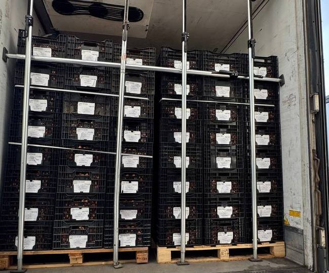 Фото: пресс-служба Северо-Западного межрегионального управления Россельхознадзора