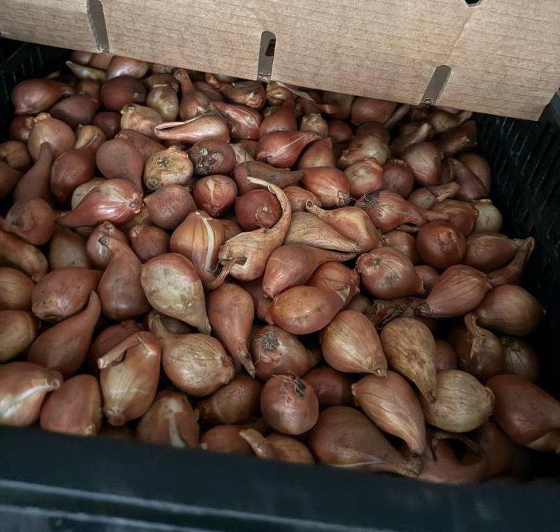 Фото: пресс-служба Северо-Западного межрегионального управления Россельхознадзора